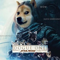 Dogue One