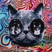 LSD CAT