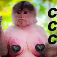 Calcium Cannon Capuchin