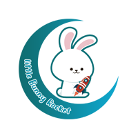 Little Bunny Rocket