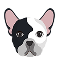 BullDogKing