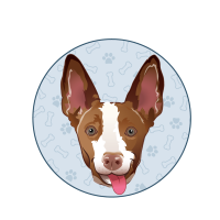 TANJI INU V2