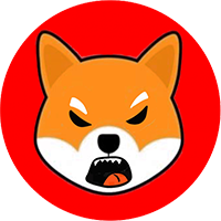 SHIBA!!!