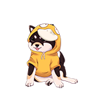Misty Inu