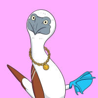Blue-footed booby