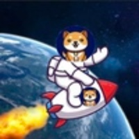Starship Doge