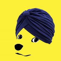 DogeAintNoJeet