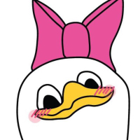 Desy Duck
