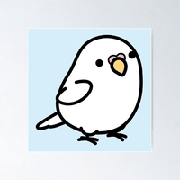 LOLO The Hawk