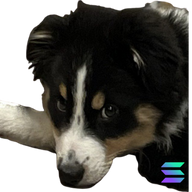 oneDoge