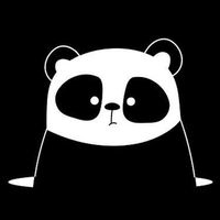 Little Black Panda