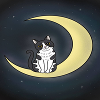 LUNACAT