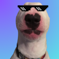Walter On Sol