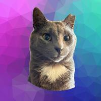 diamondthecatsolana