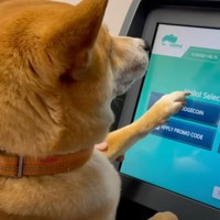 First Dog To Buy Crypto