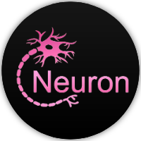 Neuron Network