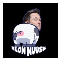 ELON  MUUSK