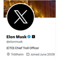Chief Troll Officer