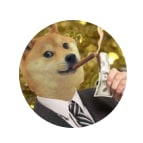 BillionaireDoge