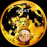 Lunatic Cats