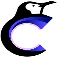 Community Support Token
