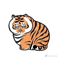 Tiger Token 2022