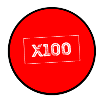 X100 Token