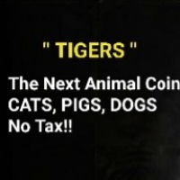 TIGERS
