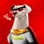 Super Doge Coin