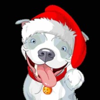 SANTA FLOKI