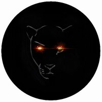 Panther Quant