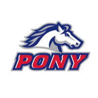 Pony