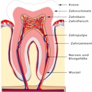 DentalCoin Swiss Healthcare