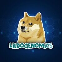 LilDogeNomics BSC token