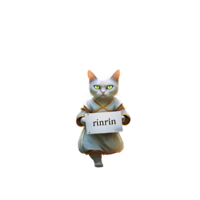 RINRIN