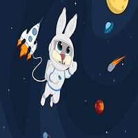 BunnysRocket