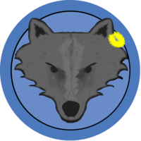 Wall Street Coin