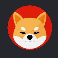 ShibaInuNew