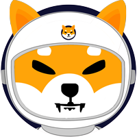 Space Shiba