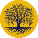 DEEP ROOTS