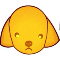 TeddyDoge