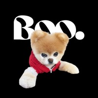 Boo