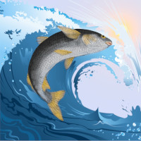 MulleToken