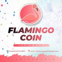 Flamingo Coin