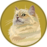 CATCOIN