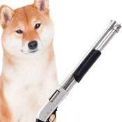 DogeGun