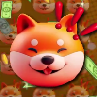 Momo Finance