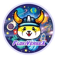 FlokiVerseX