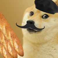Monsieur Doge