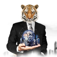 Tiger CEO